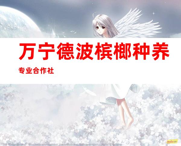 万宁德波槟榔种养专业合作社