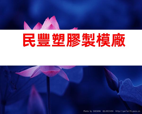 民豐塑膠製模廠